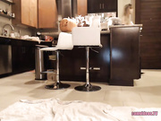kitten mfc