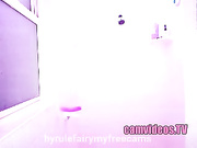 hyrulefairy mfc