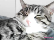 octaviamay vids