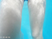 Tittyfuck in the swimming pools changing room huge cumshot on F cup boobs