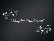Naughty Windowsill