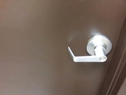[Manyvids] CandieCane - pissing in a dunkin donuts bathroom sink