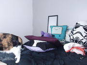 misshowl Chaturbate 07-01-2018