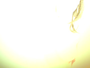crazym_ WEBCAM SHOW 20171230