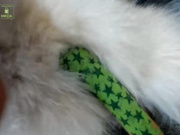 siswet19 suck