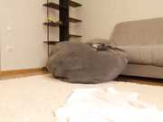 meowlina Chaturbate 23-01-2018