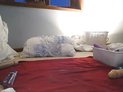 lilrosiedoll's Cam Show @ Chaturbate 09052017