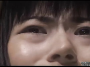 Hana to hebi