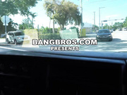 BangBus Alexis Andrews