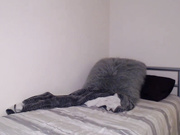 kitty_cashew1 webcam girl