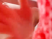 C4_morenasapeka