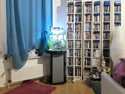 blowjobjosie Chaturbate 04-03-2018