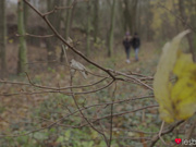 Lesbea - Anie Darling and Lucette Nice 1080p 18.01.14