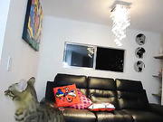 mfc haleycute, free webcam show