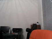 loganlace mfc
