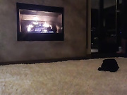 aria_abby, amateur camshow
