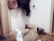 insellal Livecamclips