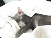 hurricanekat_ webcam show