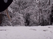 Destinationkat - Colored Snow