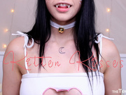 Zia kitty