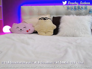 ROXYCAT Show Pet Play