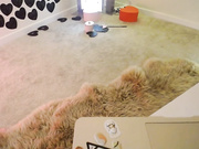 beertokens webcams