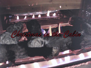 JASMINEGREEY – CHRISTMAS IN THE CABIN