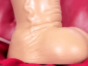 Princess berpl premium