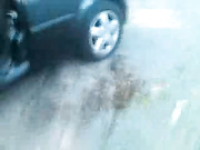 UK dogging