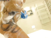 Kissofacobra