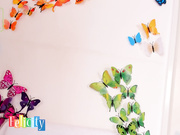 felicity_yours 2018-04-08 01