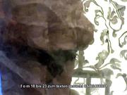 Pussy 1