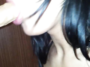 camel bj