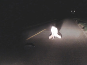 Masturbation on the night street
