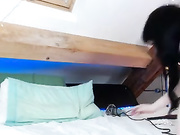 ivyrae show from 20170113