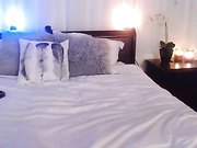 aria_abby show from 20170108