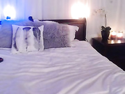 aria_abby show from 20170108