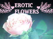 Effy_Elizabeth - Flowers & Cream