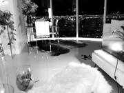 alexis webcam