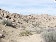 Desert Nymph Seduction Sloppy POV BJ