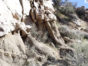 Desert Nymph Seduction Sloppy POV BJ