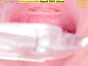 lauravid001