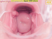 lauravid001