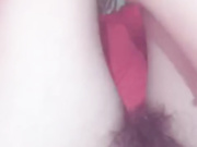 Asian liv