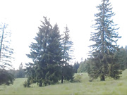 Caylin Outdoor Bounding With Nature