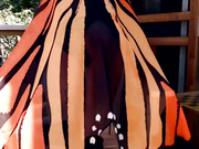 Butterfly Kisses