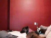 ferretsalad cumshow