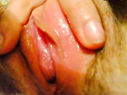 Yoco 50