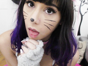 Kitten_Play