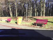 Boy Girl Autobahn Blowjob